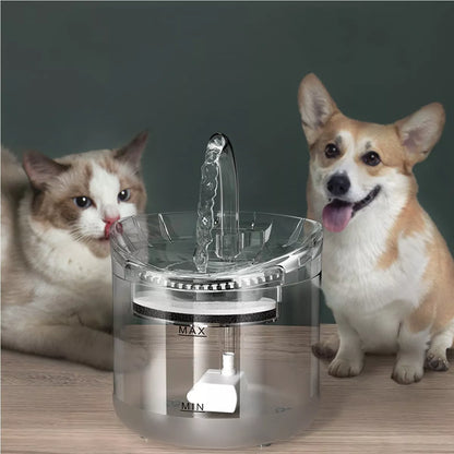 Dispensador bebedero inteligente de agua para mascota 1,8L